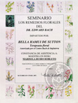Flores-Bach-CH.jpg